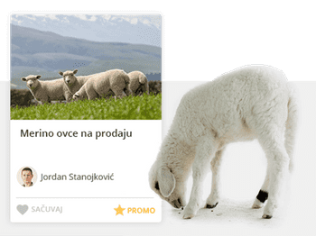 Image of Virtual Cooperation project